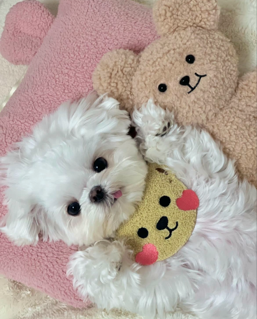 뭐했다고 벌써 4시가 넘..(0)