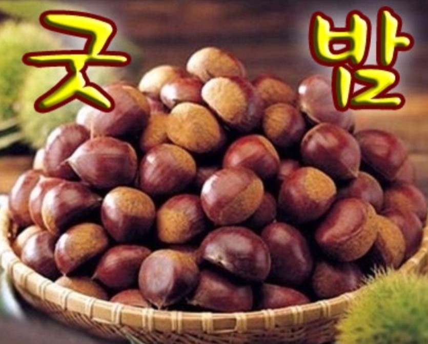 오늘은 이만 여기까지.. 고생 많으셨습니다 !(0)