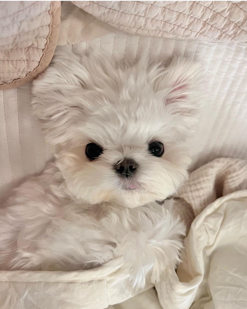 마지막 장작 쓰윽~~❤️(0)