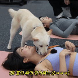 멍쓰프리미엄입니다.(0)