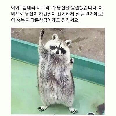 개리님 대박이시네요(0)