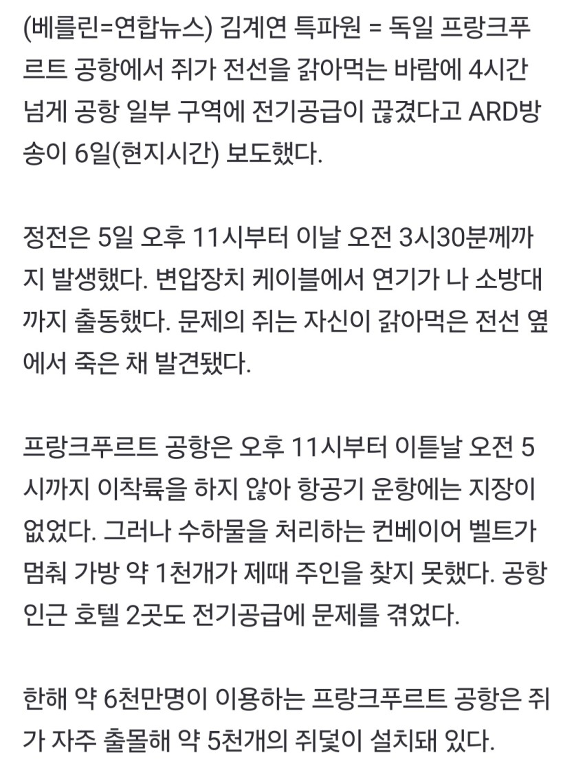 독일 프랑크푸르트 공항 일부 정전(0)