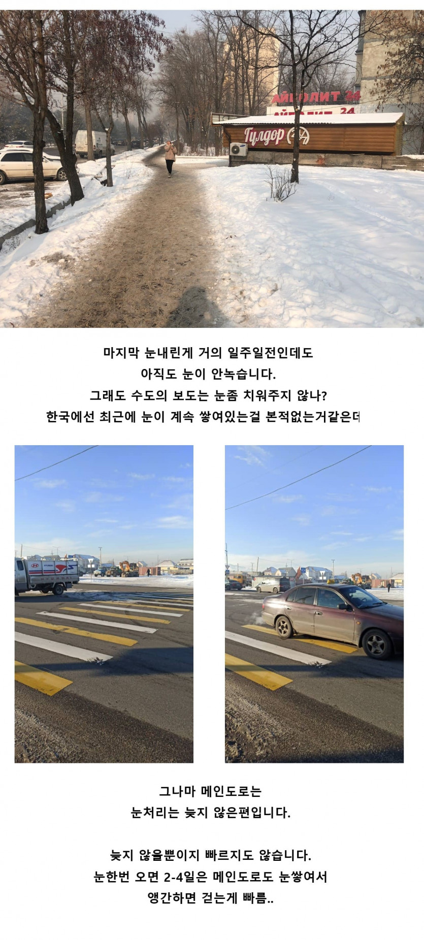 김뿡의 해외라이프 - 점심엔 피자.(0)