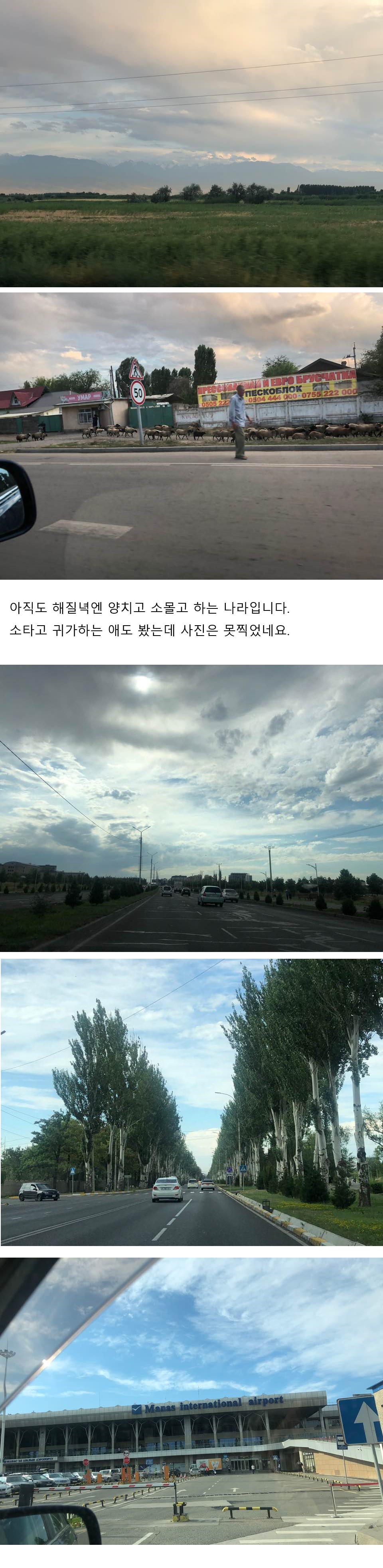 김뿡의 해외라이프 - 소개팅(2)(0)
