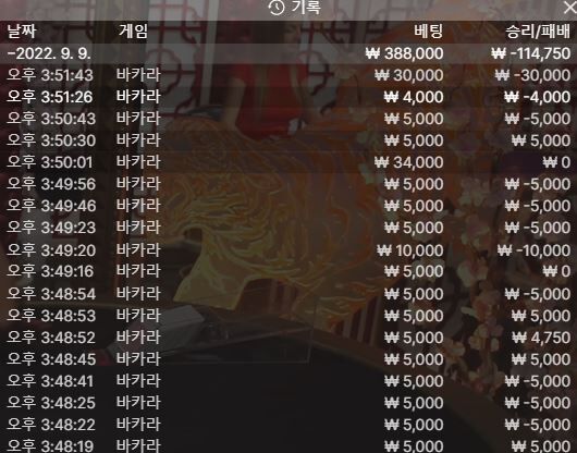 핑카 후기(0)