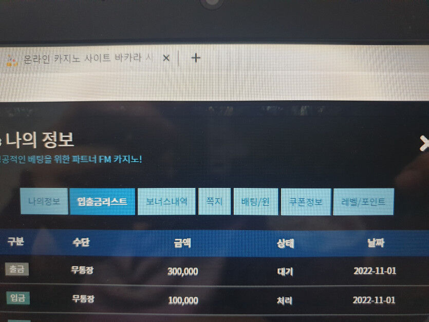Fm슬롯후기(0)