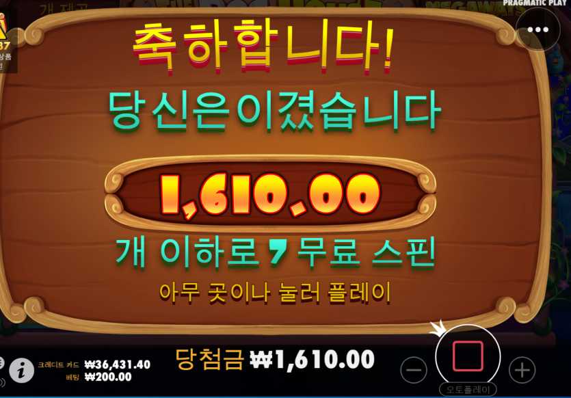 슬롯 후기(0)