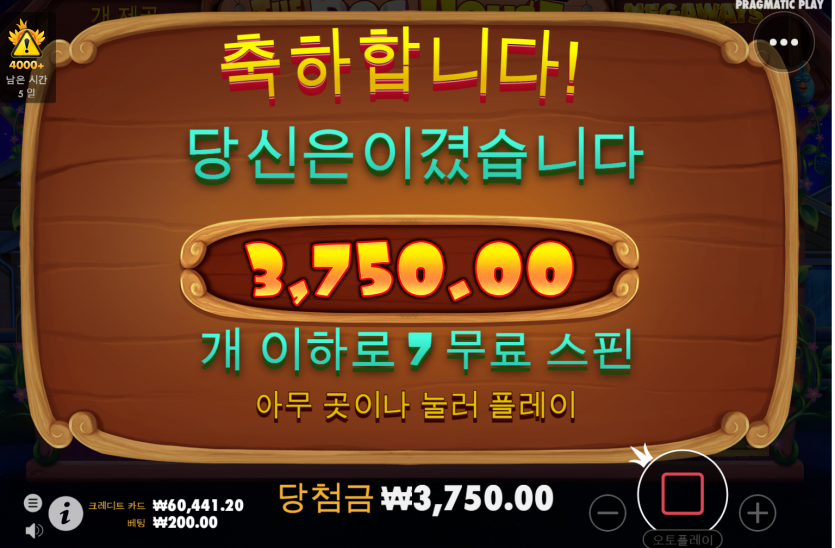 슬롯 후기(0)
