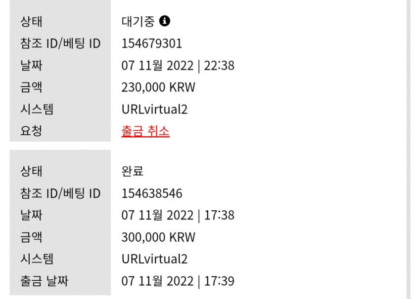벳위즈후기(0)