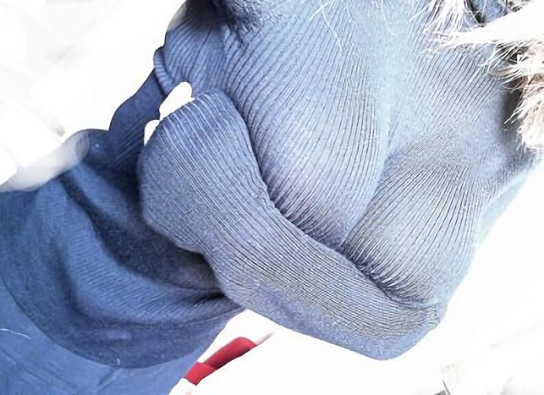 테라피 작업하면서 농사(2)