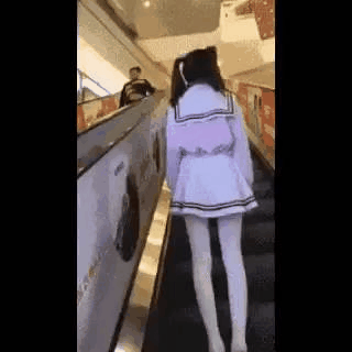 토토를 해보우아아아아! 개재미따!(3)