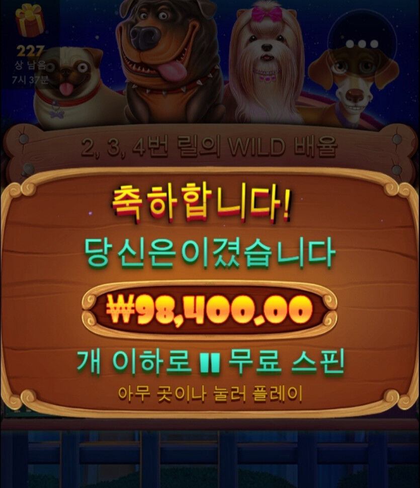 개집후기....(0)