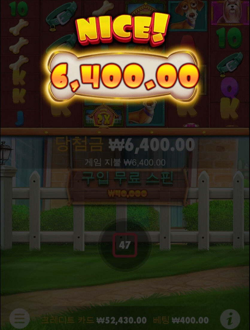 개집 후기...(0)