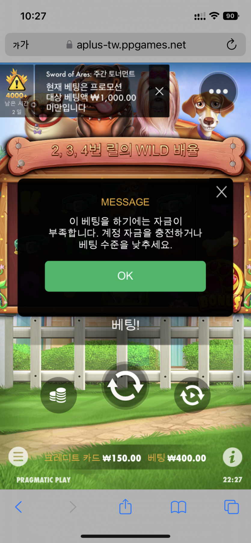 개집...잘놀다갑니다...!(0)
