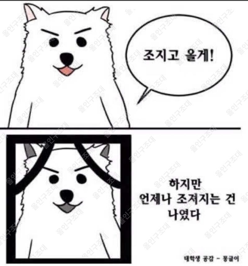홈카 후기(1)