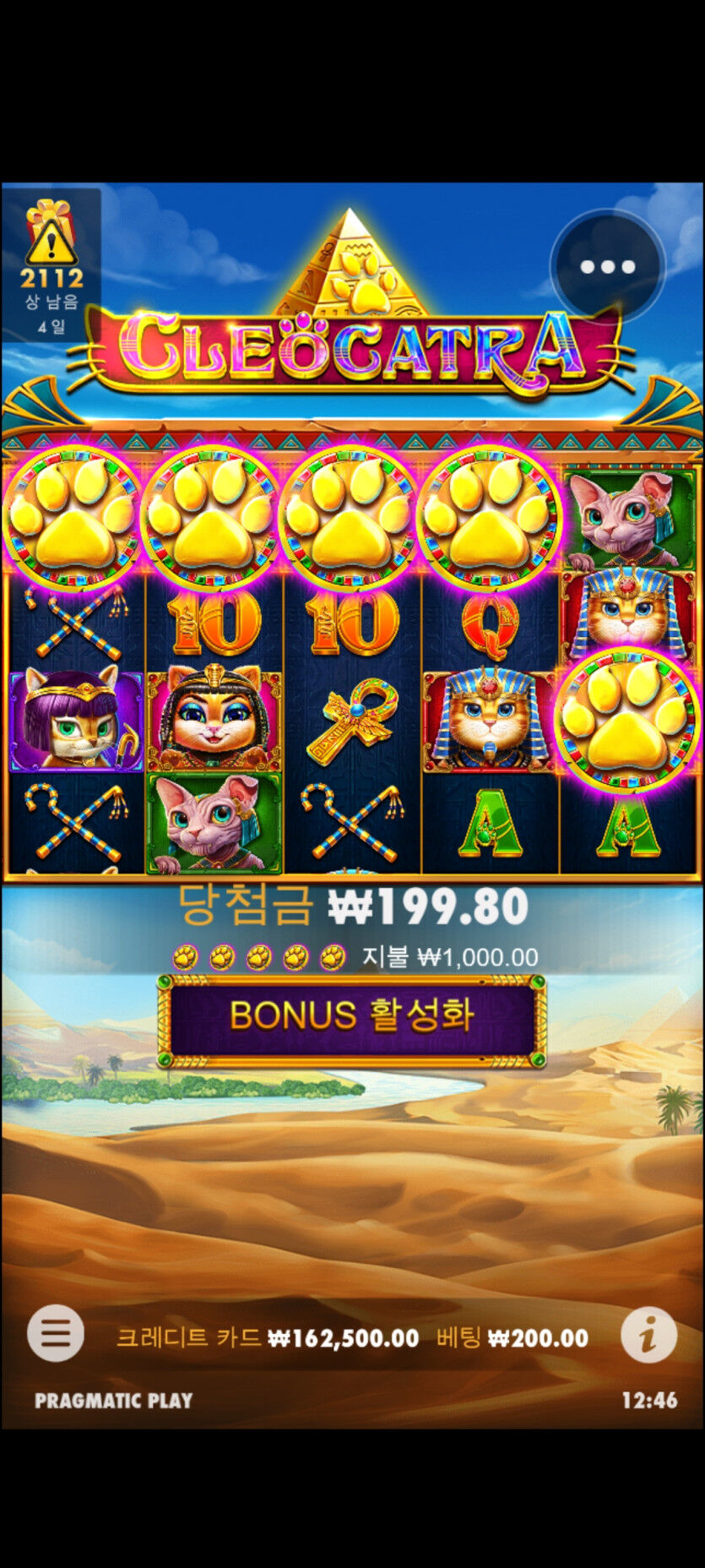 핑카 후기(0)