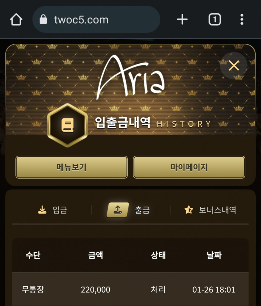 아리아 활동왕 후기(1)