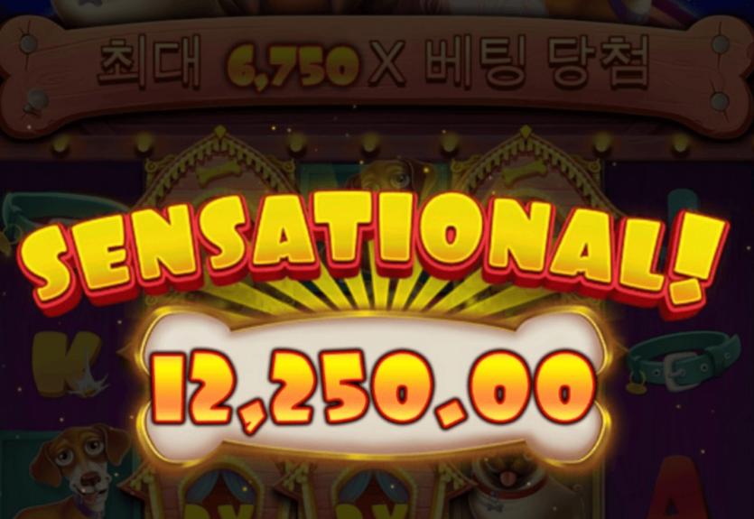 개집으로 언제 쯤 크게 먹어 볼까(0)