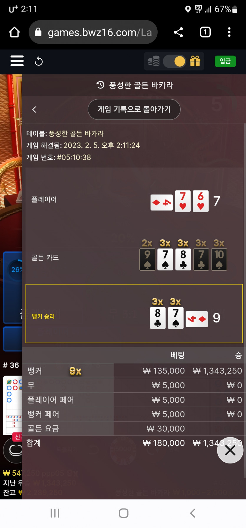 벳위즈 후기(0)