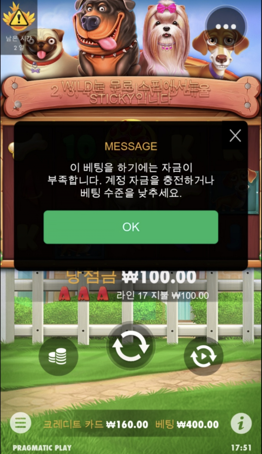 개집후기........(1)