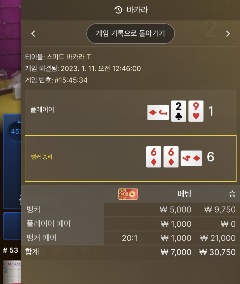 뱃위즈 에볼마틴 후기(1)