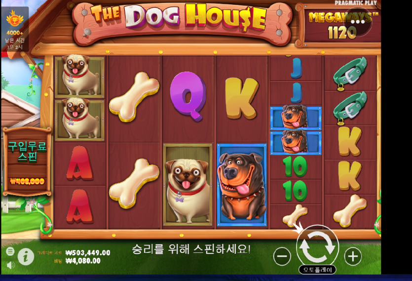 갱이냥냥님 보세요(0)