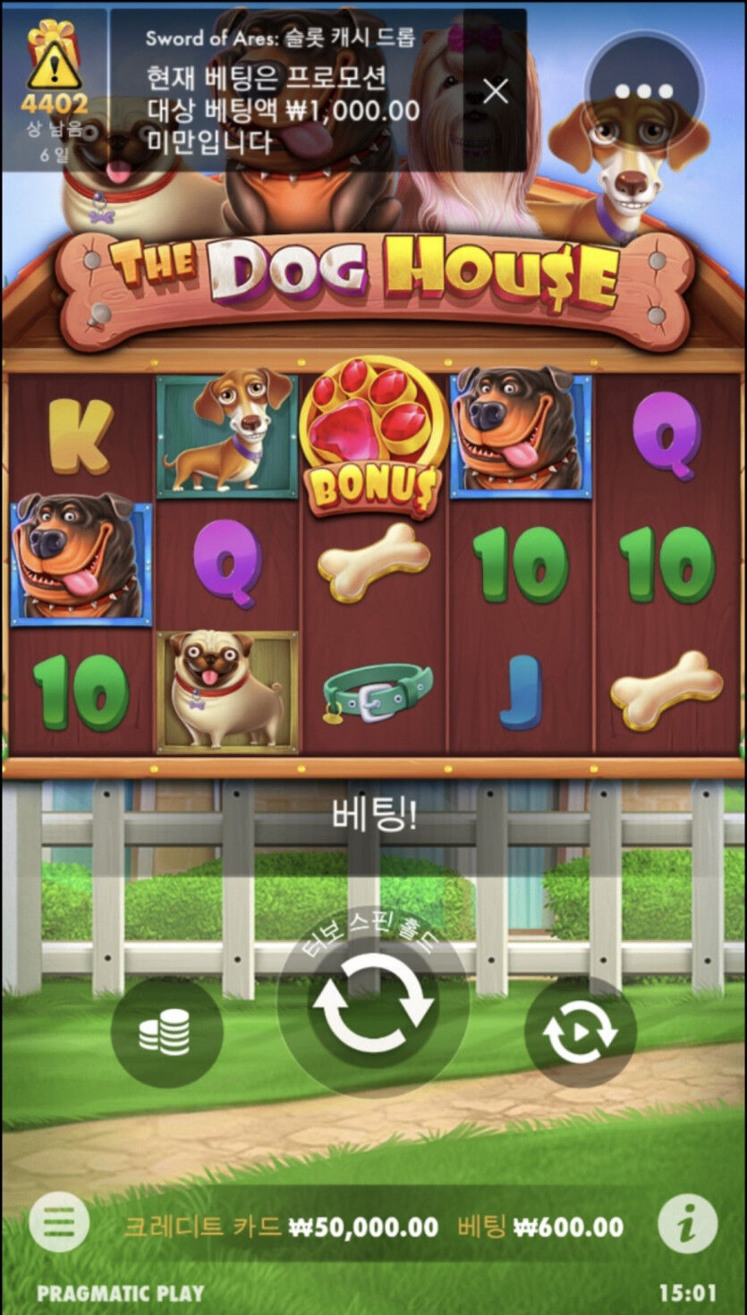 쉬는타임......개집 재도전!(0)