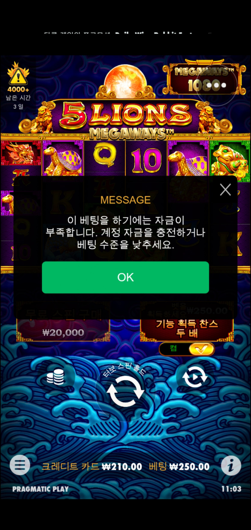 홈카 오라메후기(0)
