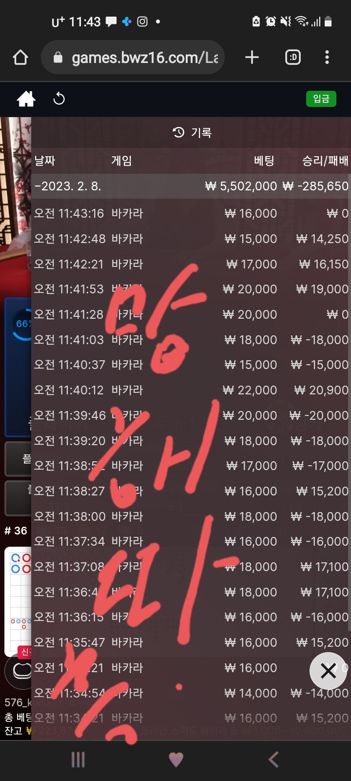 벳위즈 .에볼후기..(0)