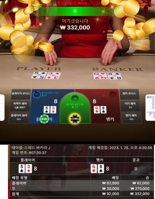 에볼패기 첫 스탓 (타이)(0)