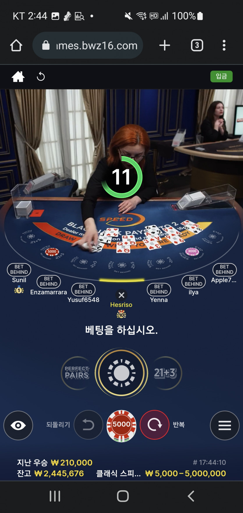 벳위즈 블랙잭 소액유저(0)