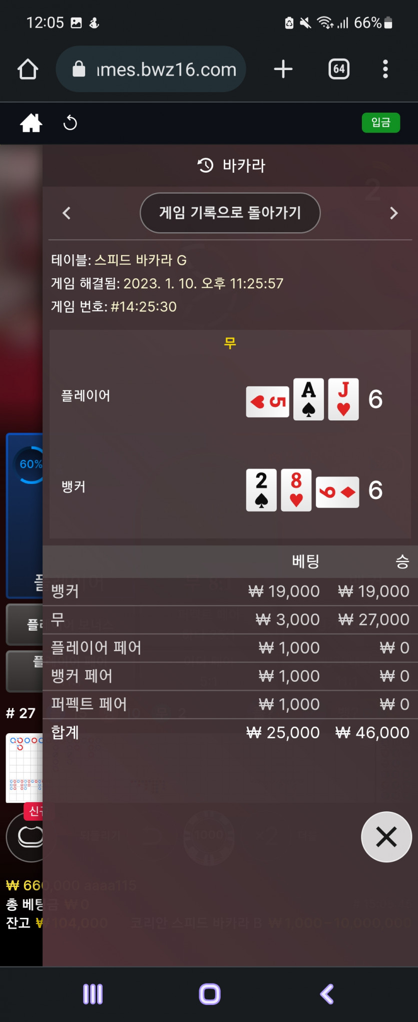 벳위즈 에볼 후기(0)