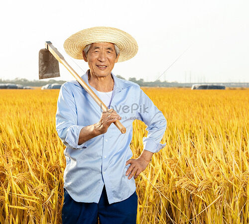 에볼마지막(0)