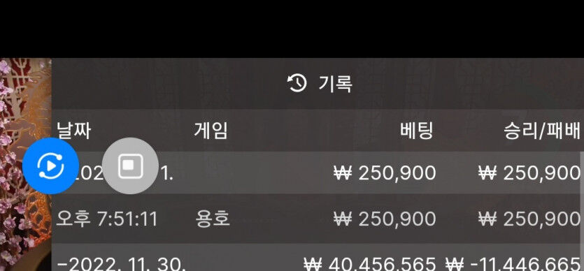 다람쥐) 생활비가 부족해서 결국질렀네요(0)