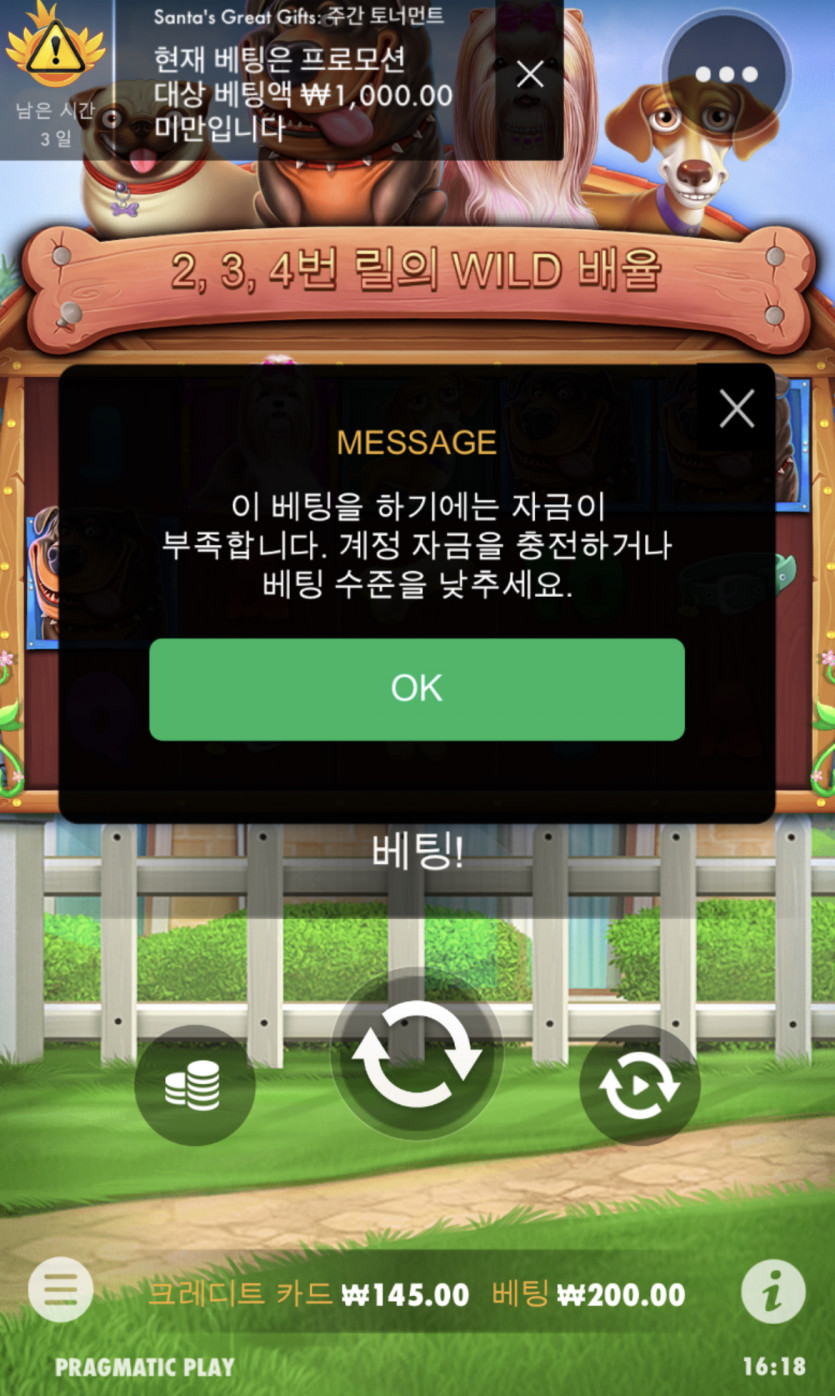 개집후기(0)