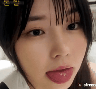 케이카 후기(1)