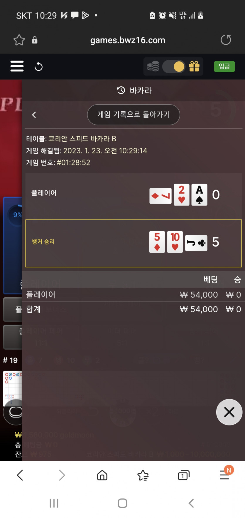 벳위즈후기(0)