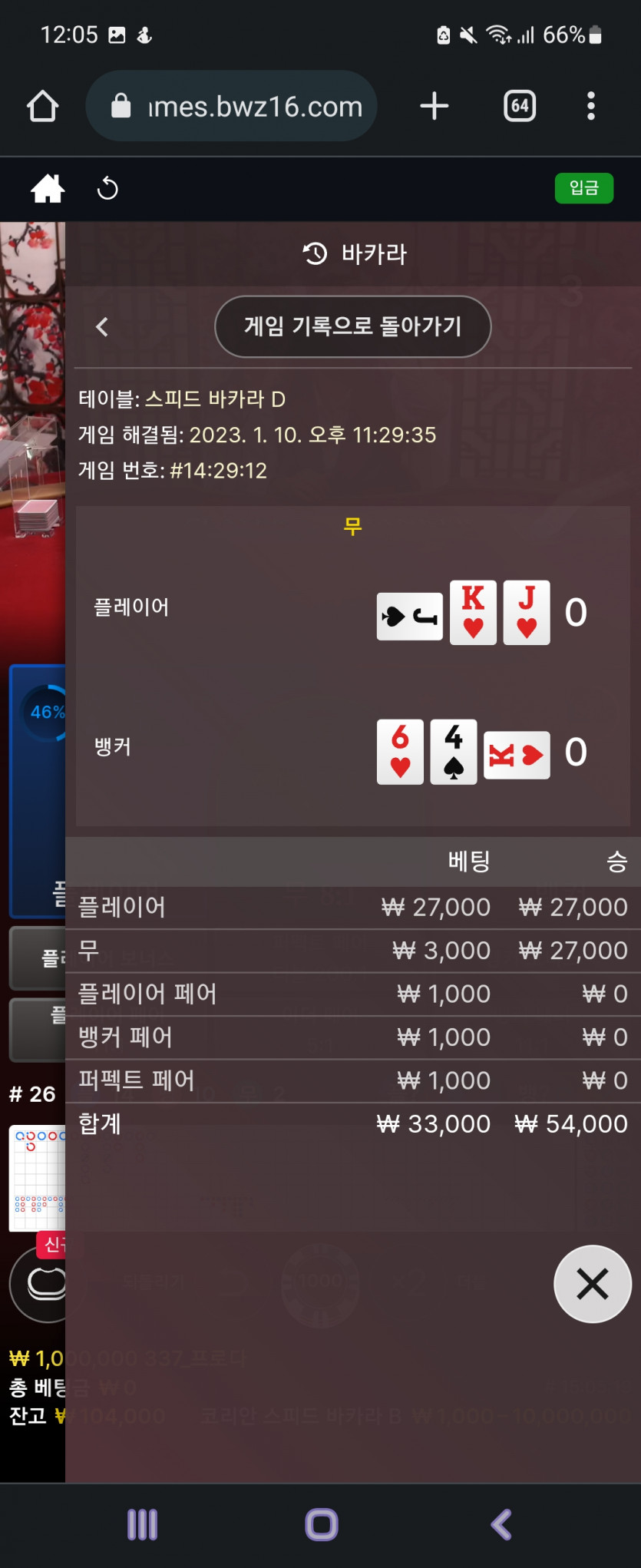 벳위즈 에볼 후기(2)