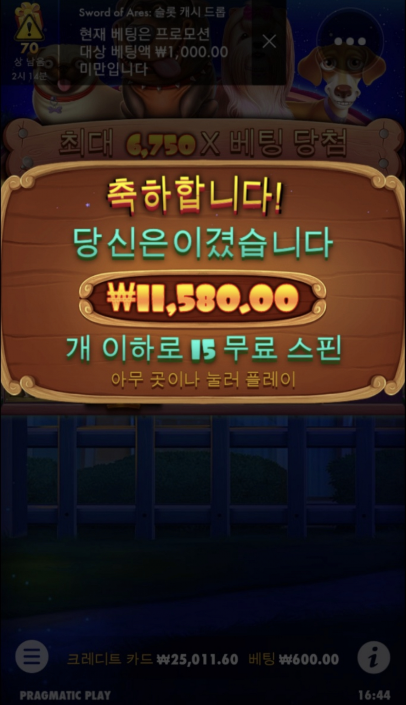 개집 후기(0)