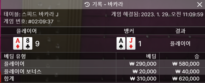 홈카 활동 쿠폰 3깡 후기(1)