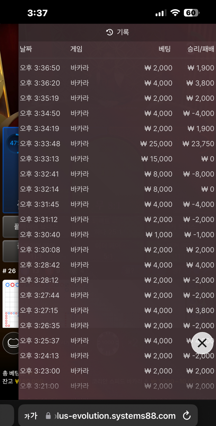 핑카 후기(0)