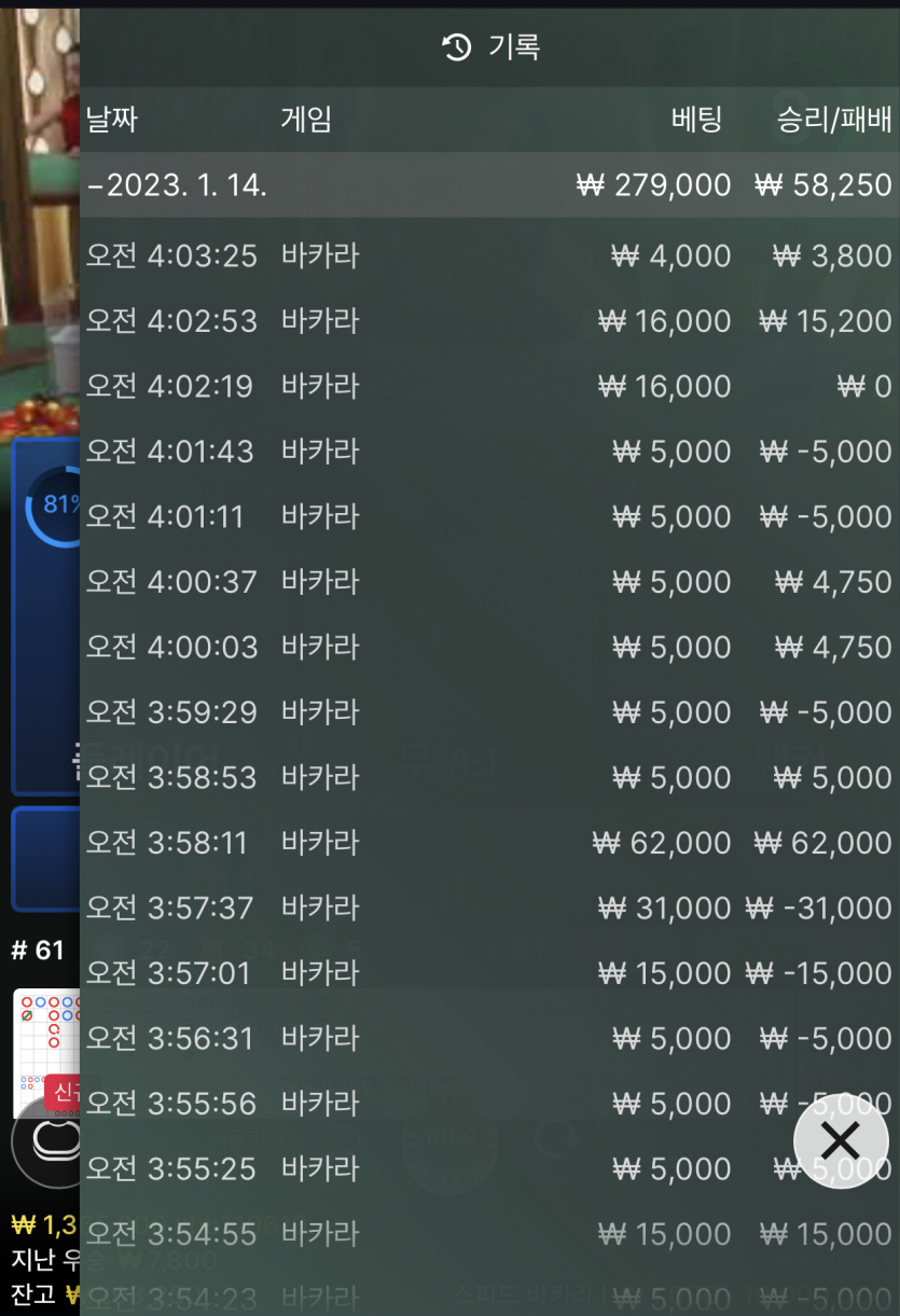 뱃위즈 에볼 마틴 후기(0)