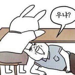 에볼 후기(1)