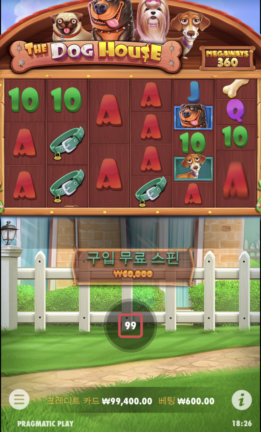 퇴근길 개집도전!!!!!!!(0)