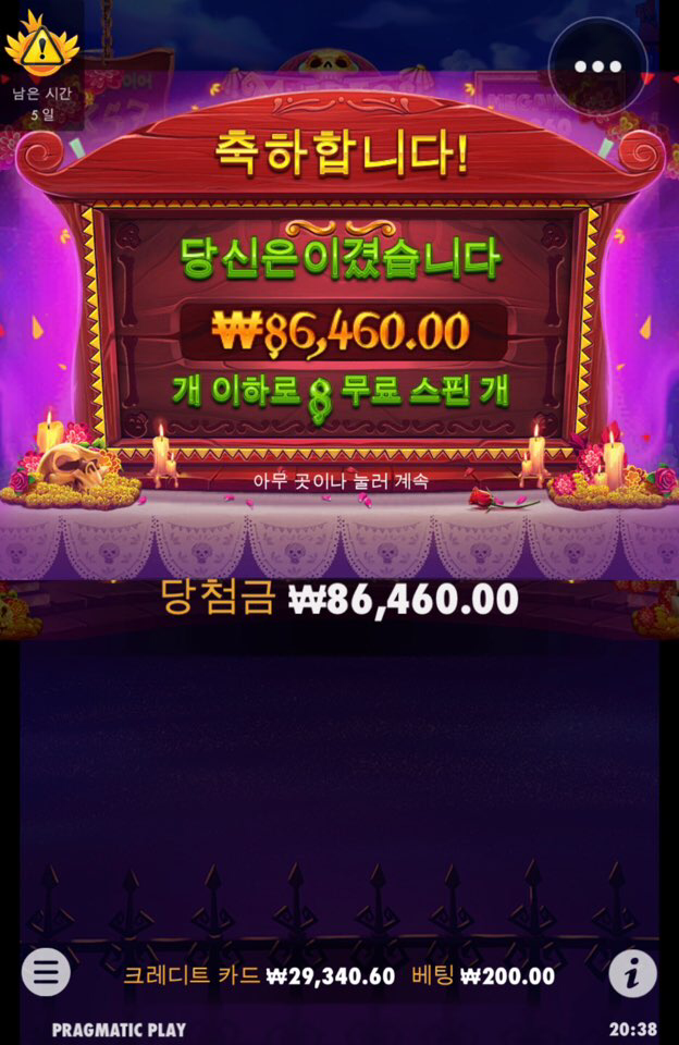 아리아 돌발쿱 후기(1)