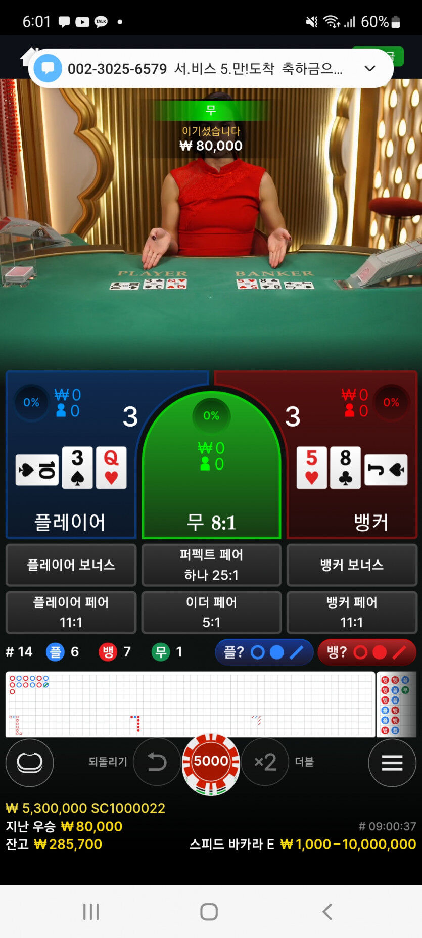 뱃위즈후기(5)