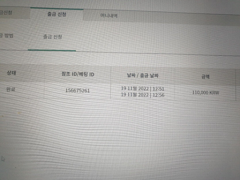 벳위즈슬롯후기(1)