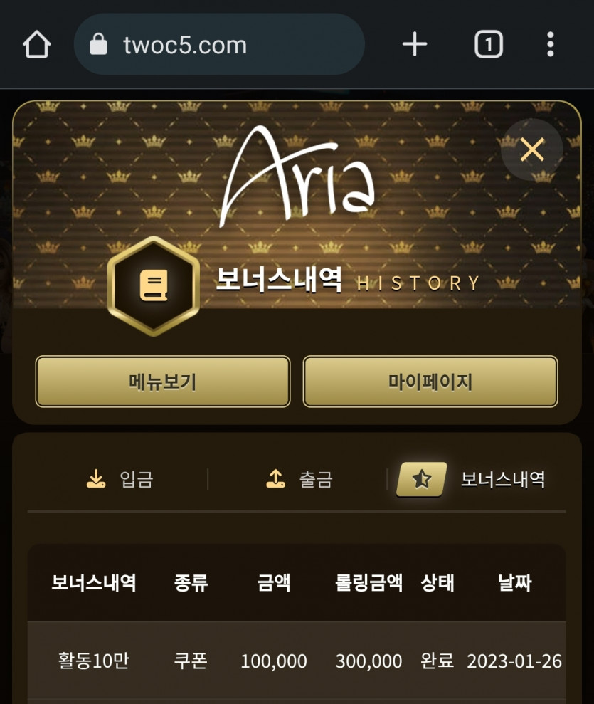 아리아 활동왕 후기(2)