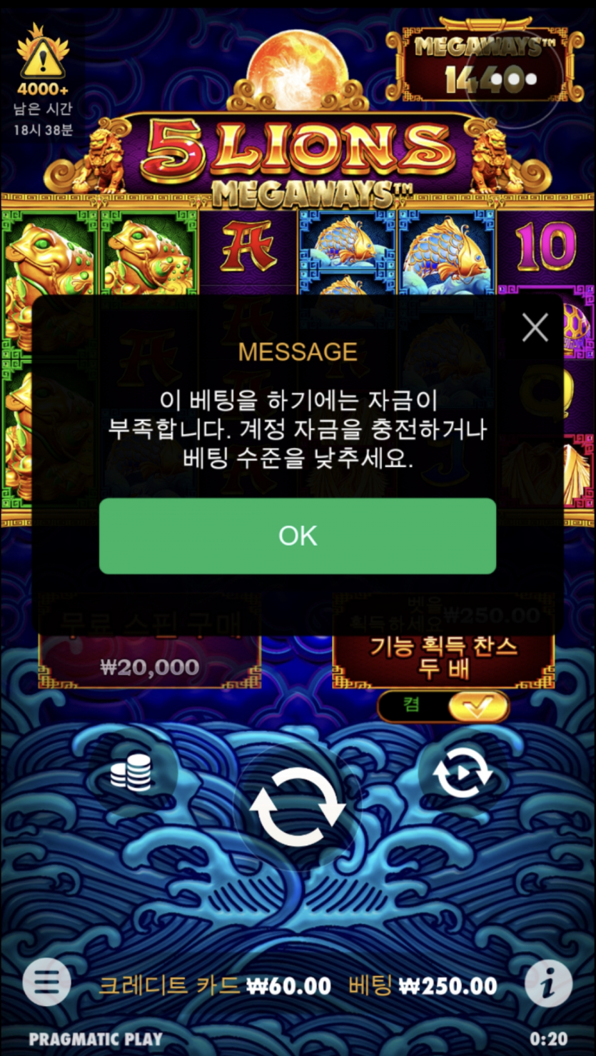 홈카 루징쿱 후기(1)