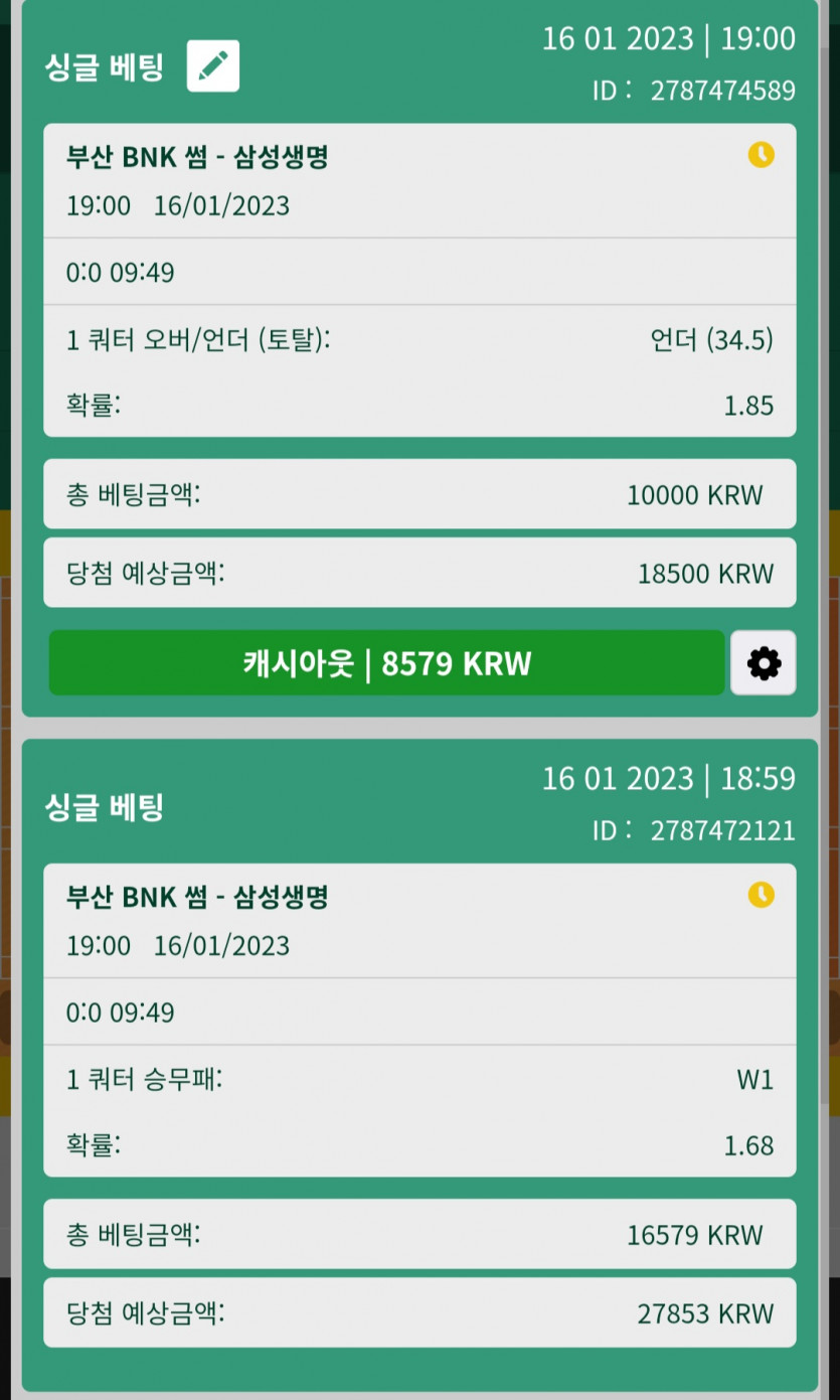뱃위즈여농(0)